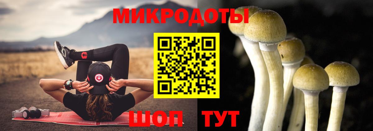 Псилоцибиновые грибы Magic Shrooms  Вход с VPN  Кулебаки 
